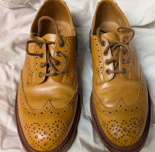 Trickers bourton country shoe - bourton,